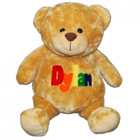 Personalized Brown Teddy Bear in Primary Colors