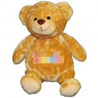 Personalized Brown Teddy Bear in Pastel Colors