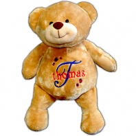 Personalized Brown Teddy Bear with Initial