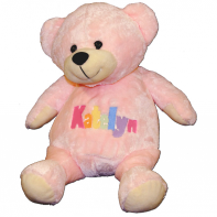 personalized pink teddy bear