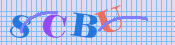 Secure Code